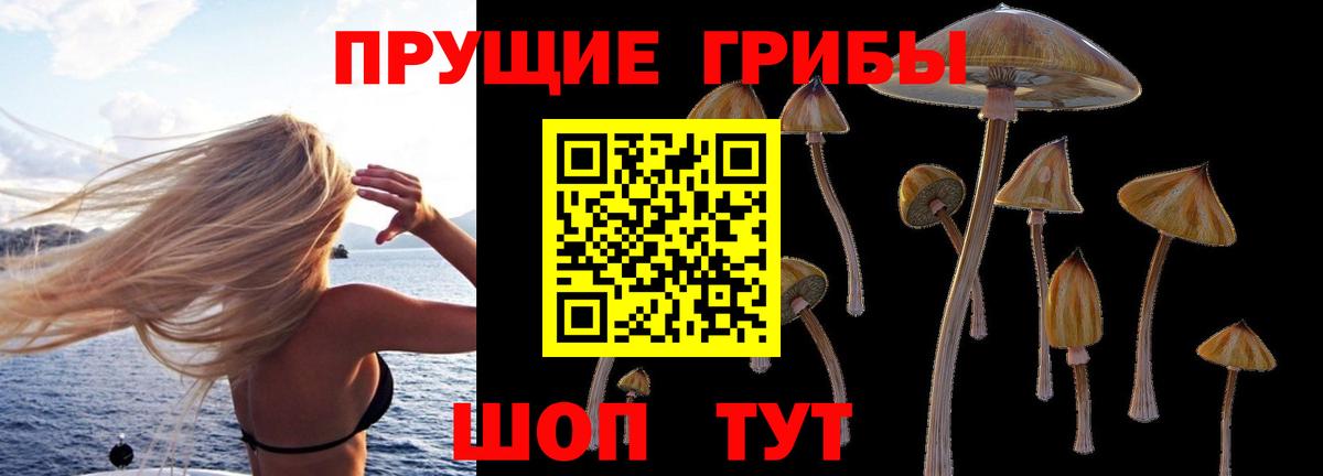 Галлюциногенные грибы Psilocybe Азнакаево